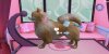 Nintendo Wii Barbie: Fun and Fashion Dogs