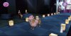 Nintendo Wii Barbie: Fun and Fashion Dogs