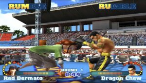 Nintendo Wii READY 2 RUMBLE REVOLUTION Boxen