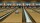 Wii Sports Resort [Nintendo Wii / Deutschland]