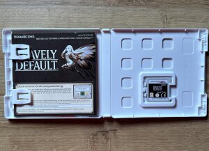 Nintendo 3DS Bravely Default