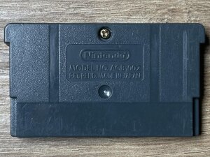 Nintendo GAME BOY ADVANCE Deutschland sucht den Superstar