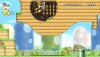 Super Mario Bros Wii