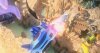 Sonic All - Stars Racing Transformed - Special Edition - [Nintendo Wii U]