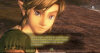 Nintendo Wii The Legend of Zelda: Twilight Princess