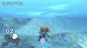 Nintendo Wii Go Vacation