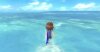 Nintendo Wii Go Vacation