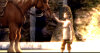 The Legend of Zelda: Twilight Princess Nintendo Wii