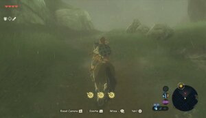 The Legend of Zelda: Breath of the Wild - [Wii U]